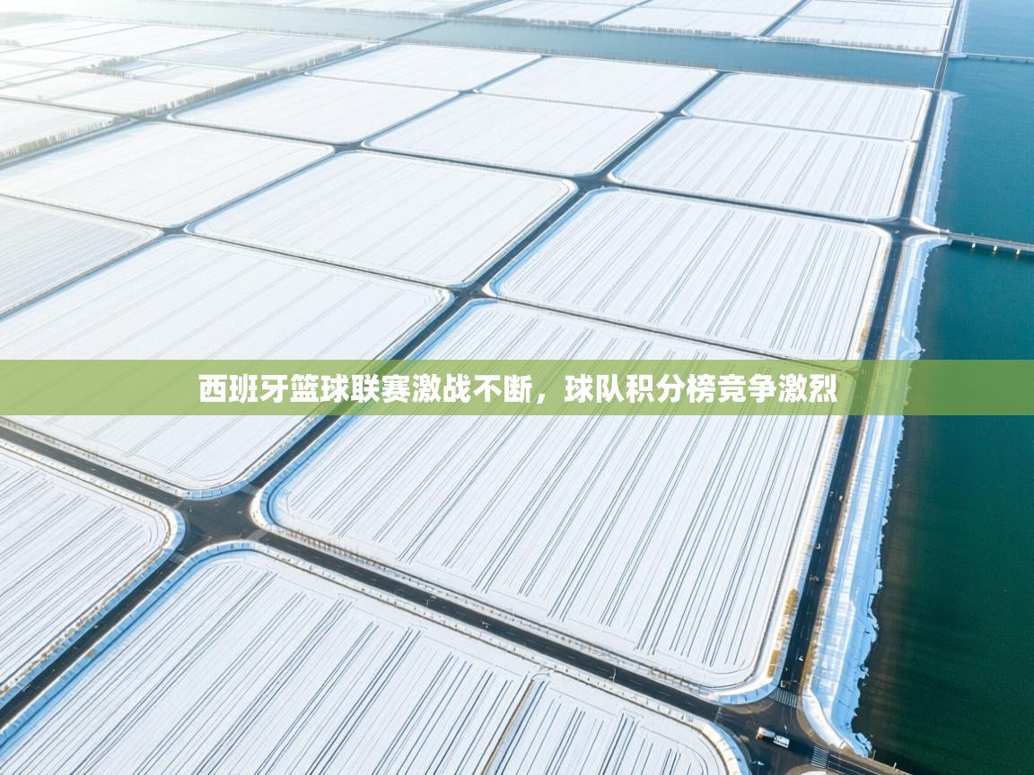 西班牙篮球联赛激战不断，球队积分榜竞争激烈  第1张