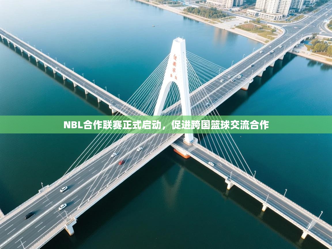 NBL合作联赛正式启动，促进跨国篮球交流合作  第2张