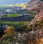 爱游戏（ayx）-新疆夺冠拼图完整？北京挑战又至，许利民遇难题(新疆夺冠阵容)